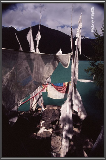 云上的日子（五）——林芝