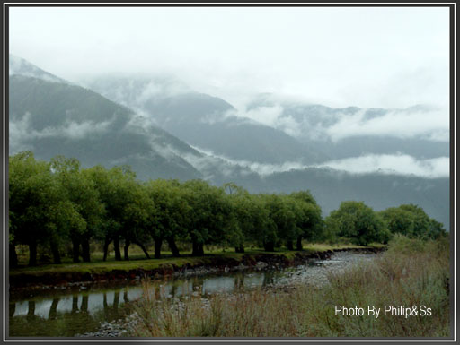 云上的日子（五）——林芝