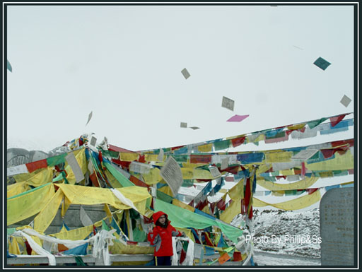 云上的日子（五）——林芝