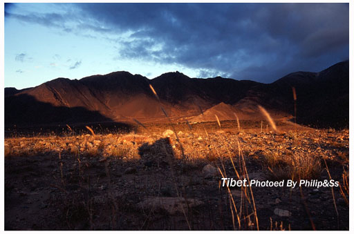 云上的日子(八)—庄严而伟大的雪山