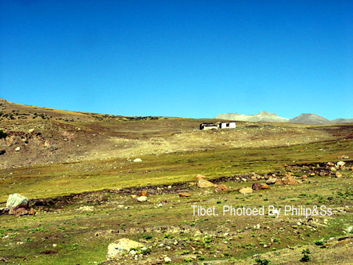 云上的日子(十一)—遇见卓玛和艾米