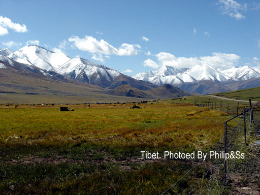 云上的日子(十一)—遇见卓玛和艾米