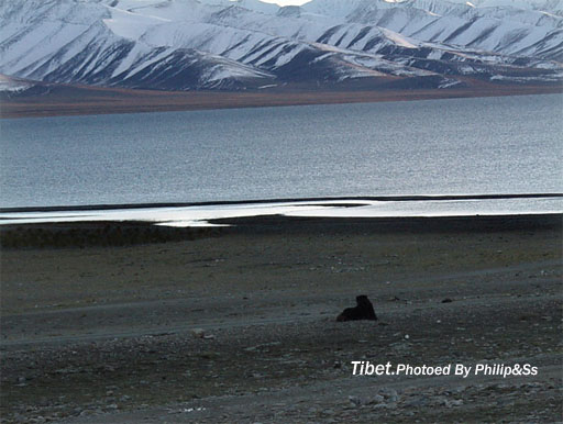 云上的日子(十三)—纳木错,天堂和地狱之间