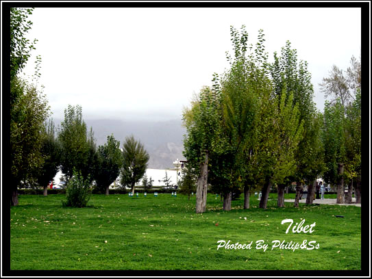 云上的日子(四)——布达拉宫的诱惑