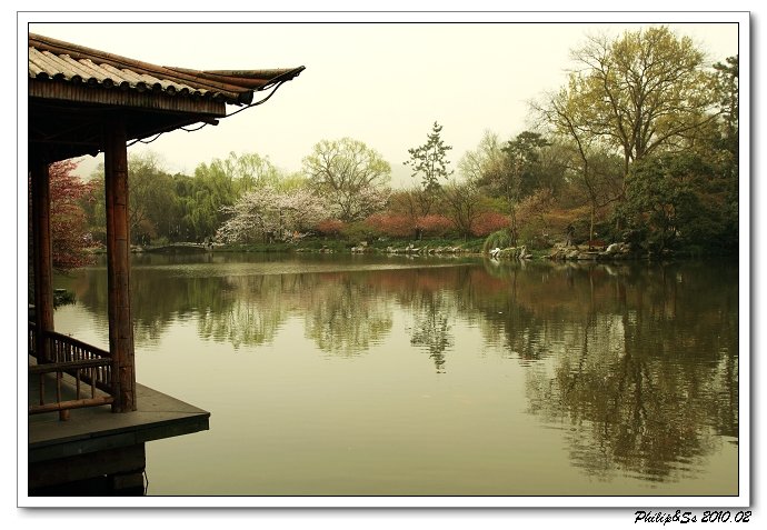 从2008年开始的一些片断