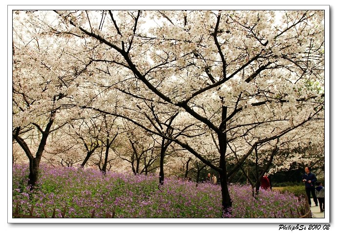 从2008年开始的一些片断