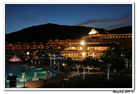 关于那些海水的记忆（一）——仙人掌