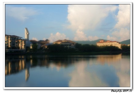 关于那些海水的记忆（一）——仙人掌