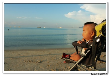 关于那些海水的记忆（一）——仙人掌