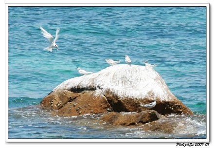 关于那些海水的记忆（三）—天堂不过如此美丽