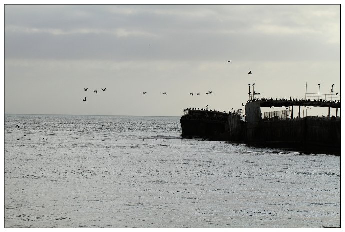 加州阳光-Santa\u00a0Cruz,相机掉海里了