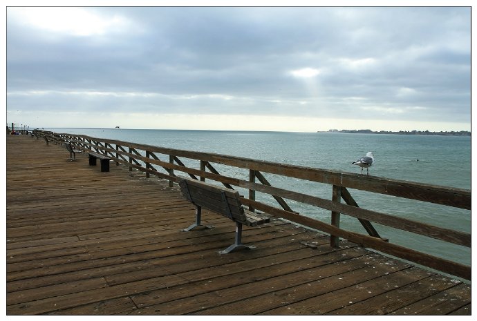 加州阳光-Santa\u00a0Cruz,相机掉海里了