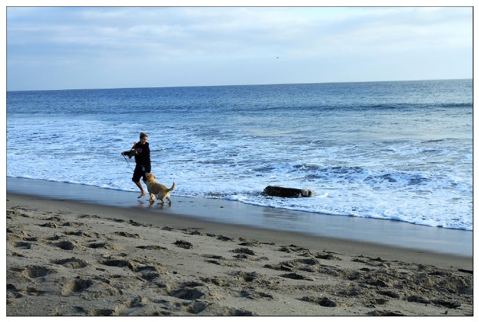 加州阳光-Santa\u00a0Cruz,相机掉海里了