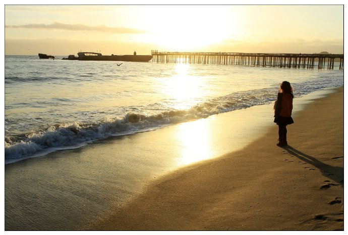 加州阳光-Santa\u00a0Cruz,相机掉海里了