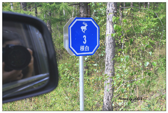 呼伦贝尔行记2——穿行在大兴安岭深处