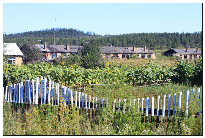 呼伦贝尔行记2——穿行在大兴安岭深处