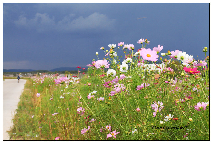 呼伦贝尔行记2——穿行在大兴安岭深处