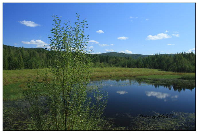 呼伦贝尔行记3——穿行在大兴安岭深处之二