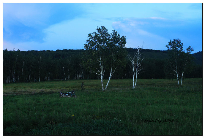 呼伦贝尔行记3——穿行在大兴安岭深处之二