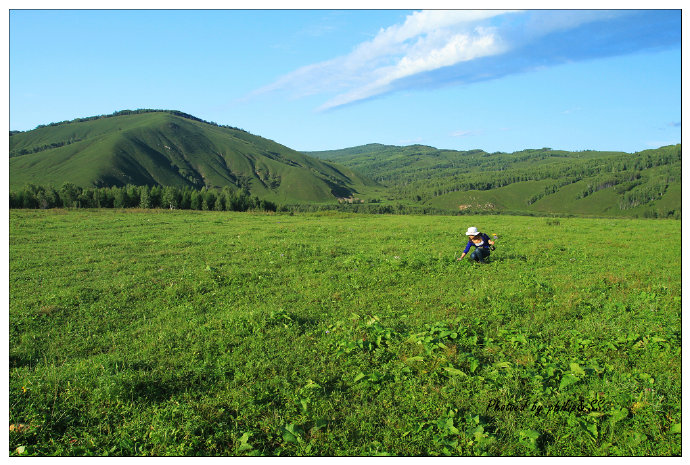 呼伦贝尔行记3——穿行在大兴安岭深处之二