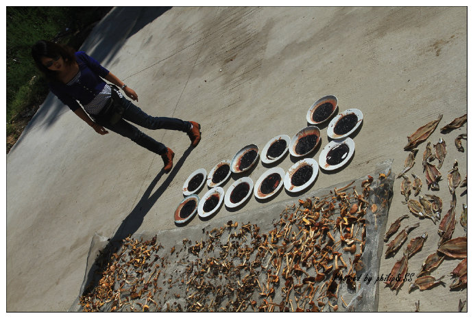 呼伦贝尔行记3——穿行在大兴安岭深处之二