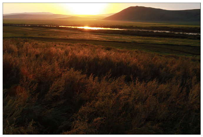 呼伦贝尔行记4——额尔古纳河，美得无以复加