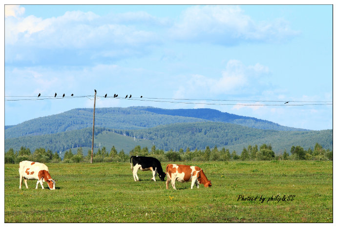 呼伦贝尔行记4——额尔古纳河，美得无以复加