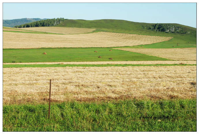 呼伦贝尔行记4——额尔古纳河，美得无以复加