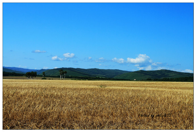 呼伦贝尔行记4——额尔古纳河，美得无以复加