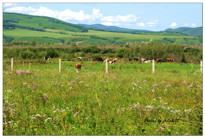 呼伦贝尔行记4——额尔古纳河，美得无以复加