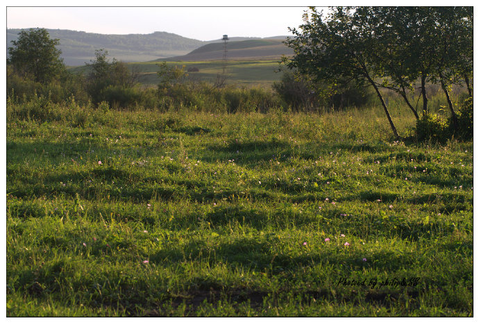 呼伦贝尔行记4——额尔古纳河，美得无以复加