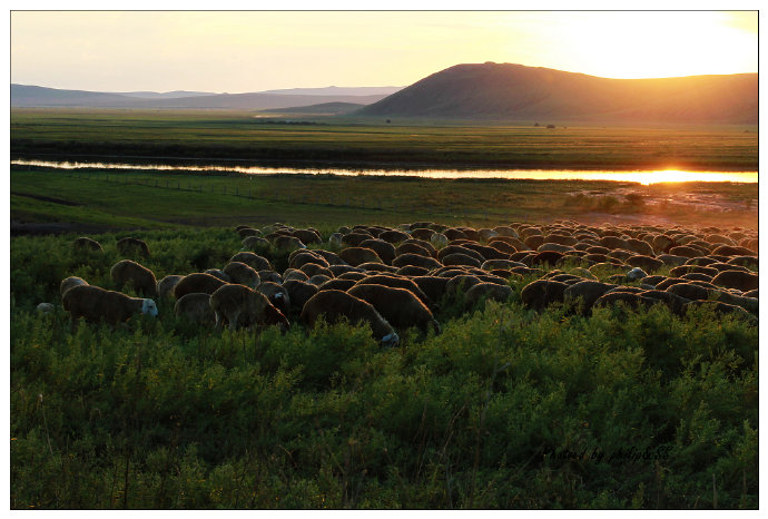 呼伦贝尔行记4——额尔古纳河，美得无以复加