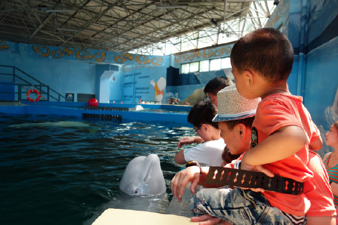 夏天夏天悄悄过去