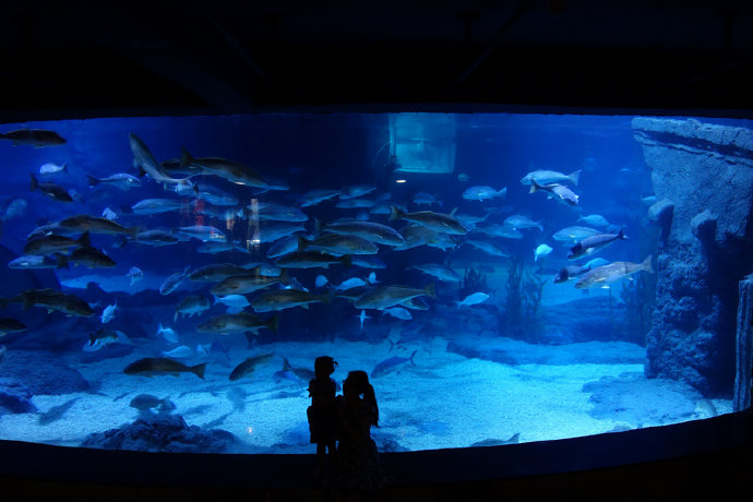 夏天夏天悄悄过去