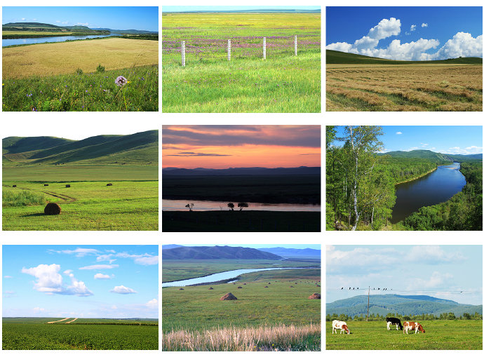 太美，呼伦贝尔