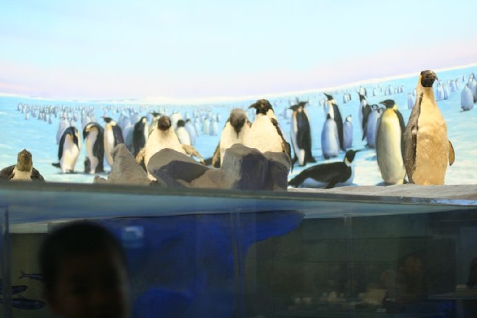 拿到幼儿园通知单了