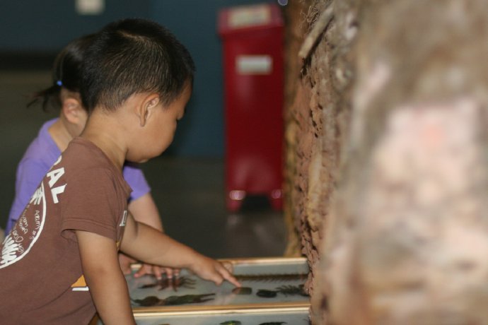 拿到幼儿园通知单了