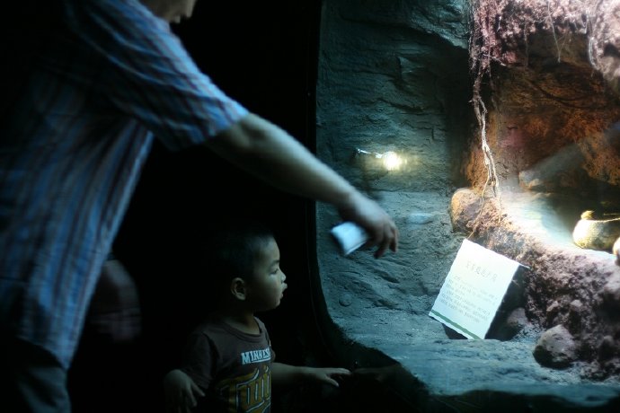 拿到幼儿园通知单了