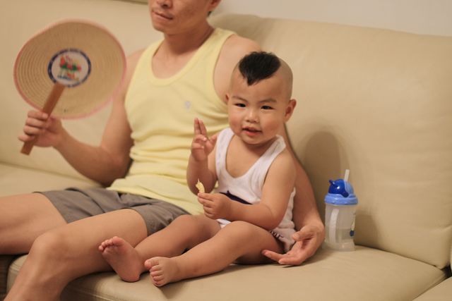 春光灿烂猪八戒