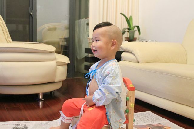 春光灿烂猪八戒