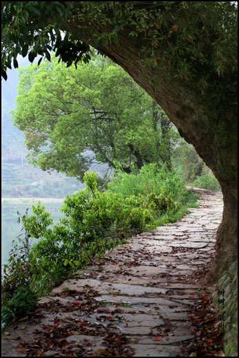 有个叫昌溪的地方