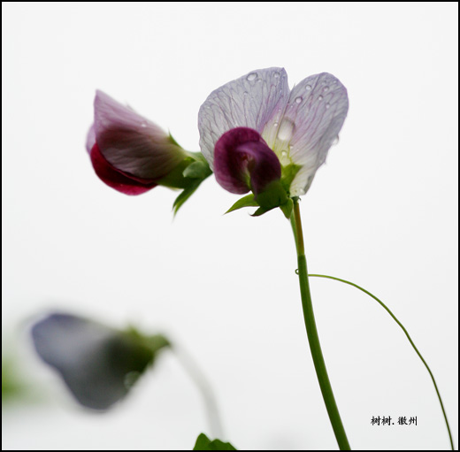 有个叫石潭的地方（续）