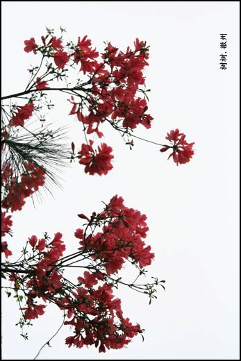 有个叫石潭的地方（续）