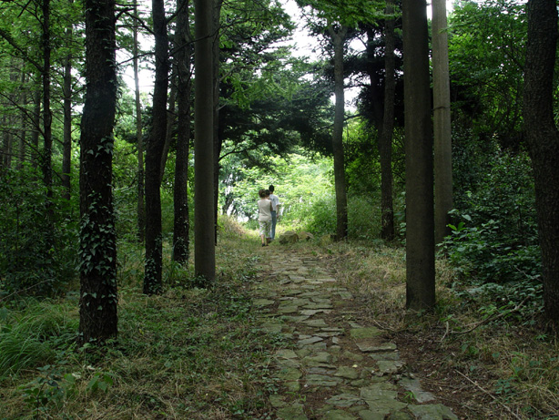 江南碧坞&ndash;记去夏莫干山清凉美食之旅