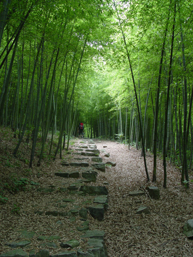 江南碧坞&ndash;记去夏莫干山清凉美食之旅