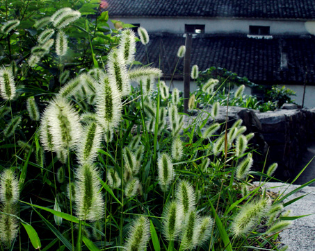 江南碧坞&ndash;记去夏莫干山清凉美食之旅