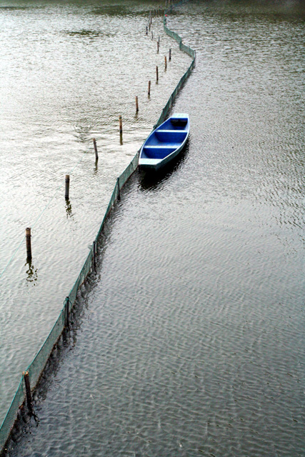 清明上已西湖好
