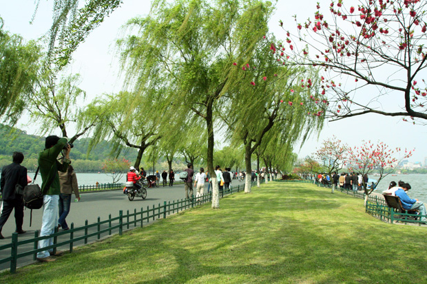 清明上已西湖好