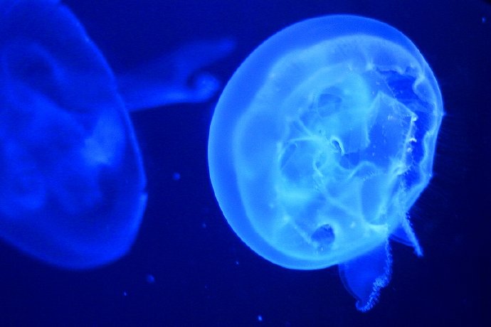 盛夏系列——冰雪地，海洋馆