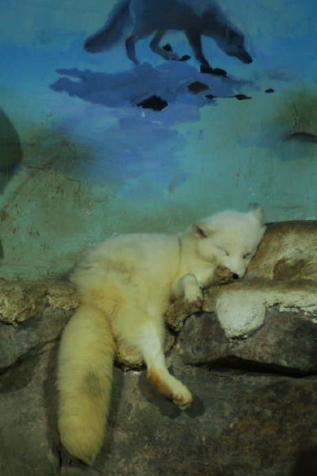 盛夏系列——冰雪地，海洋馆